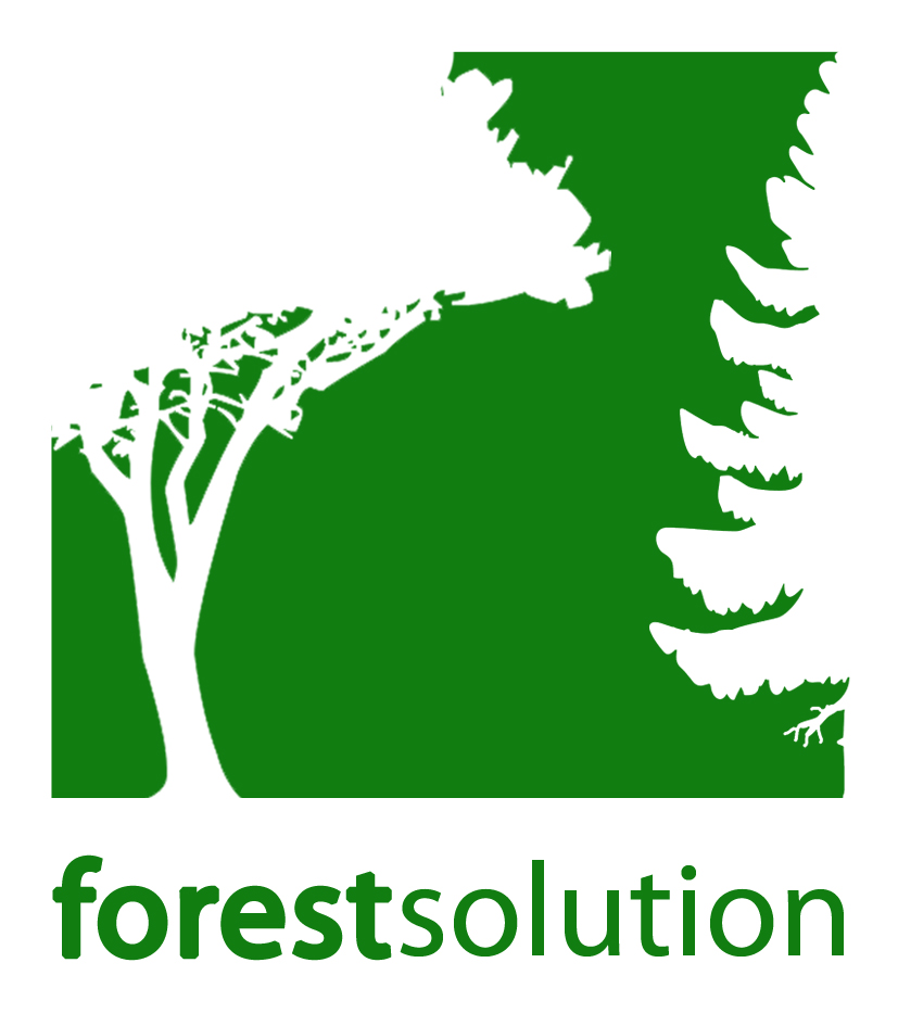 forest solution